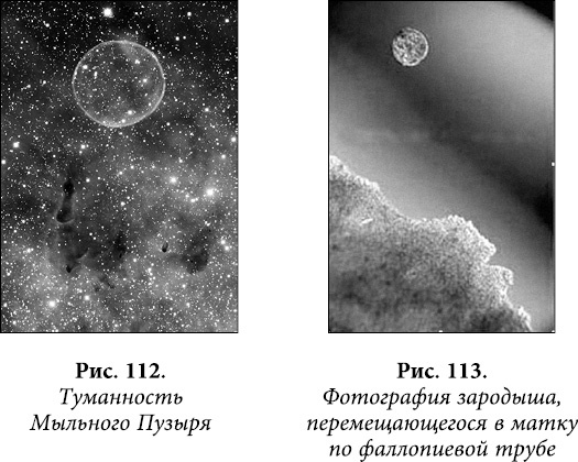 Квантовая биомеханика тела. Методика оздоровления опорно-двигательного аппарата. Часть 2