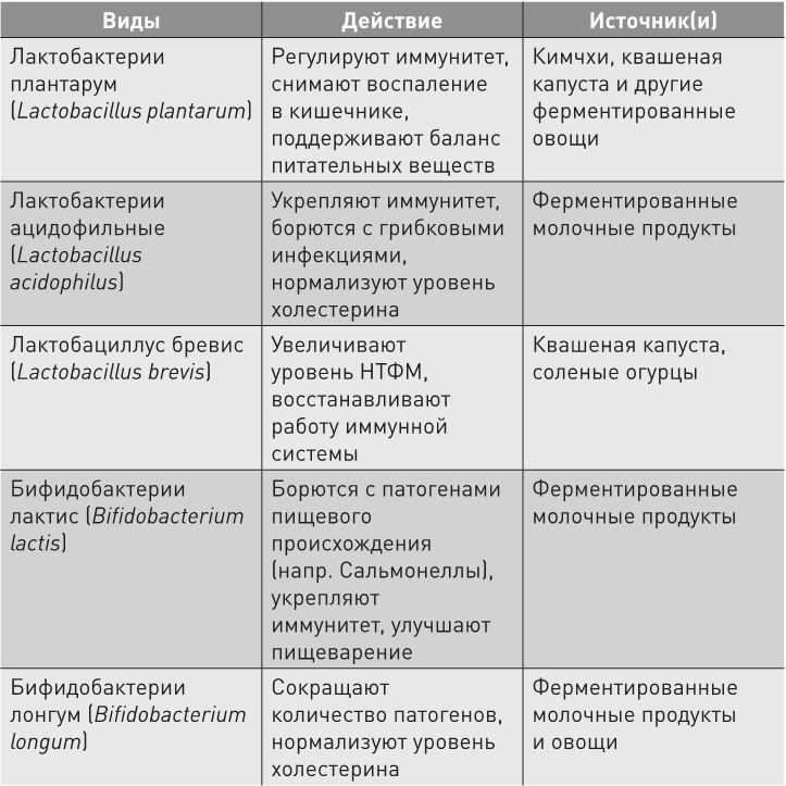 Нестареющий мозг