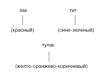 Большая энциклопедия НЛП. Структура магии