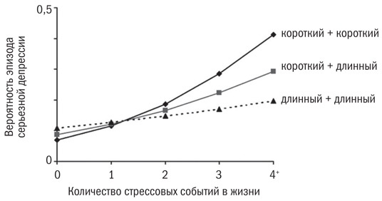 Инкогнито. Тайная жизнь мозга