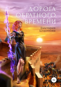 Книга Дорога обратного времени