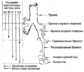 Биологическая война. Введение в эпидемиологию искусственных эпидемических процессов и биологических поражений