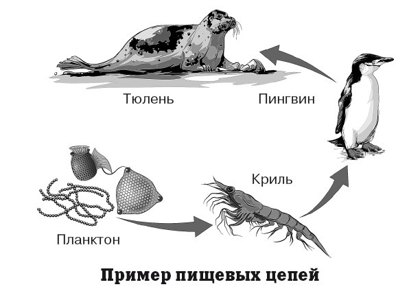 География на пальцах