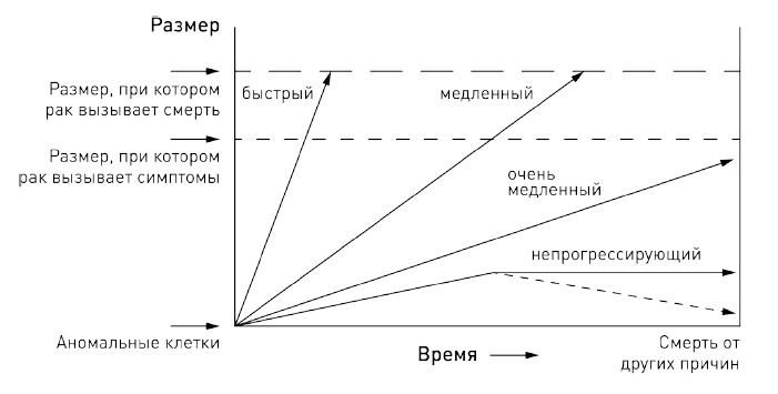 0,05. Доказательная медицина от магии до поисков бессмертия