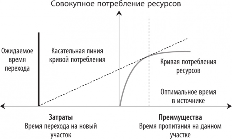 Рассеянный ум. Как нашему древнему мозгу выжить в мире новейших цифровых технологий