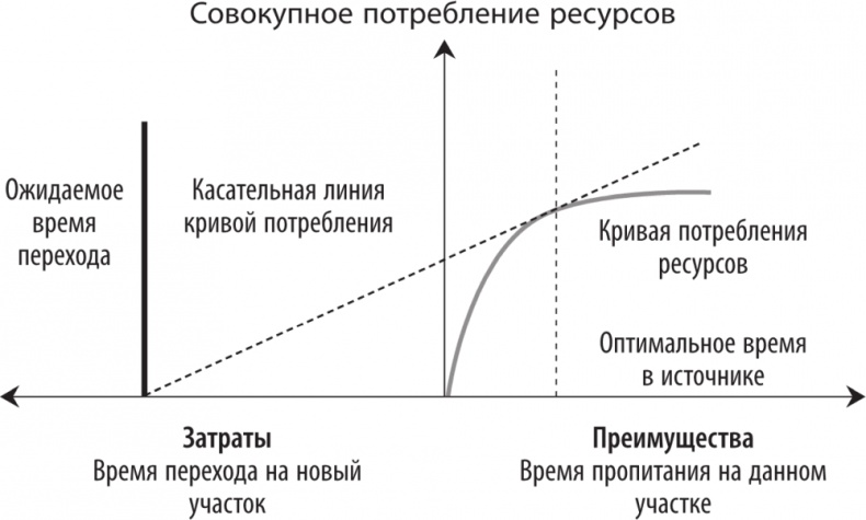 Рассеянный ум. Как нашему древнему мозгу выжить в мире новейших цифровых технологий