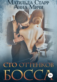 Книга Сто оттенков босса 