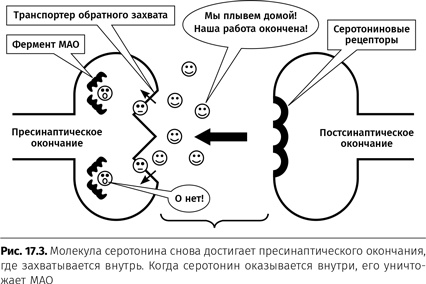 Терапия настроения. Клинически доказанный способ победить депрессию без таблеток