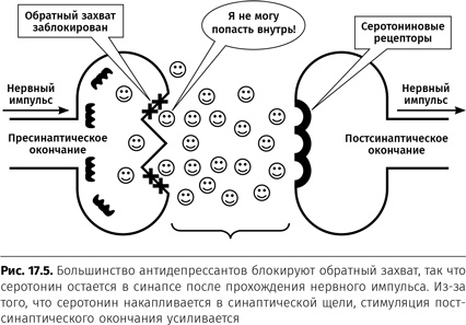 Терапия настроения. Клинически доказанный способ победить депрессию без таблеток