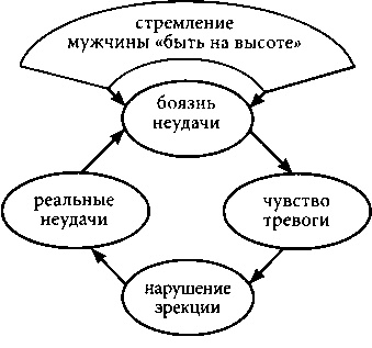 Наука о сексе. Универсальные правила