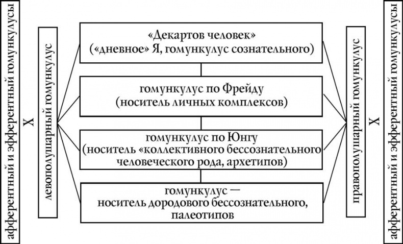 Человек безумный. На грани сознания 