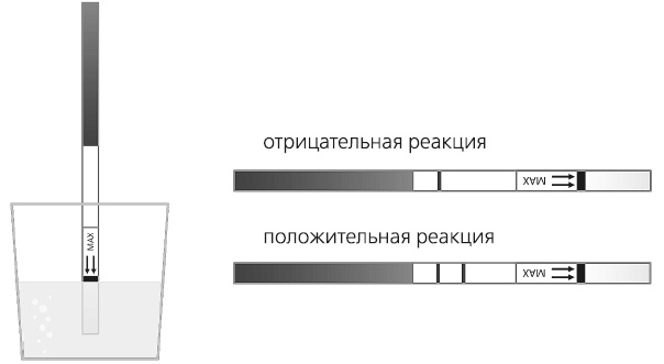 Как работает иммунитет