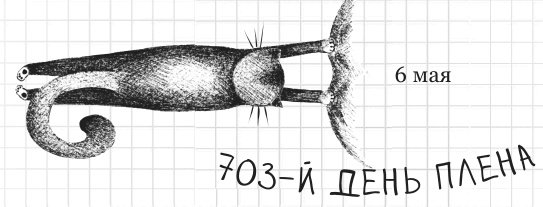 Дневник дебильного кота 2. Банда Эдгара