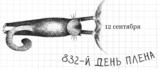 Дневник дебильного кота 2. Банда Эдгара