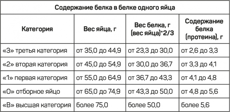 FreshLife28. Как начать новую жизнь в понедельник и не бросить во вторник