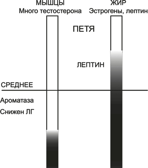 FreshLife28. Как начать новую жизнь в понедельник и не бросить во вторник