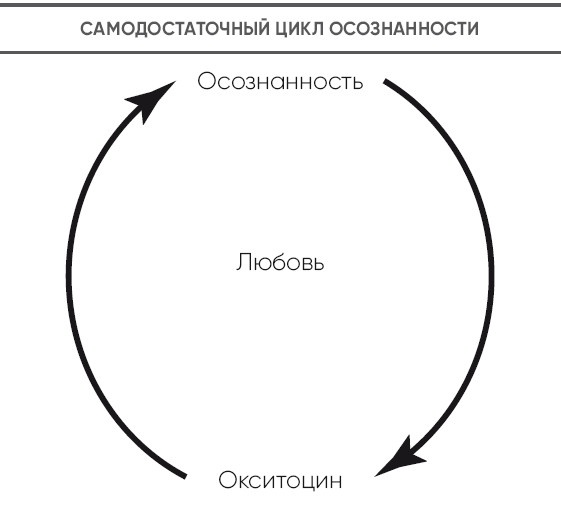 Детокс души и тела. Как избавиться от эмоционального мусора и устранить причины болезней