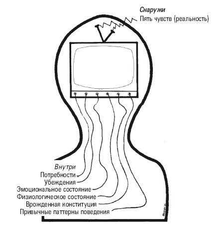 Самооценка. Проверенная программа когнитивных техник для улучшения вашего самоуважения