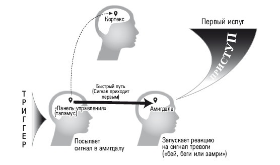 Избавление от навязчивых мыслей. Руководство по преодолению стресса и тревоги