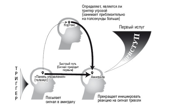 Избавление от навязчивых мыслей. Руководство по преодолению стресса и тревоги