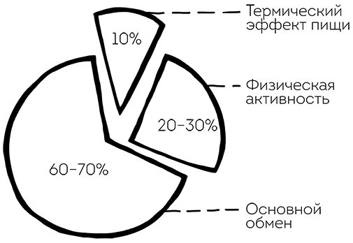 Книга ЗОЖника 