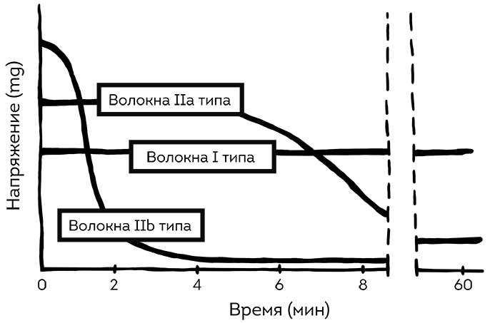 Книга ЗОЖника 