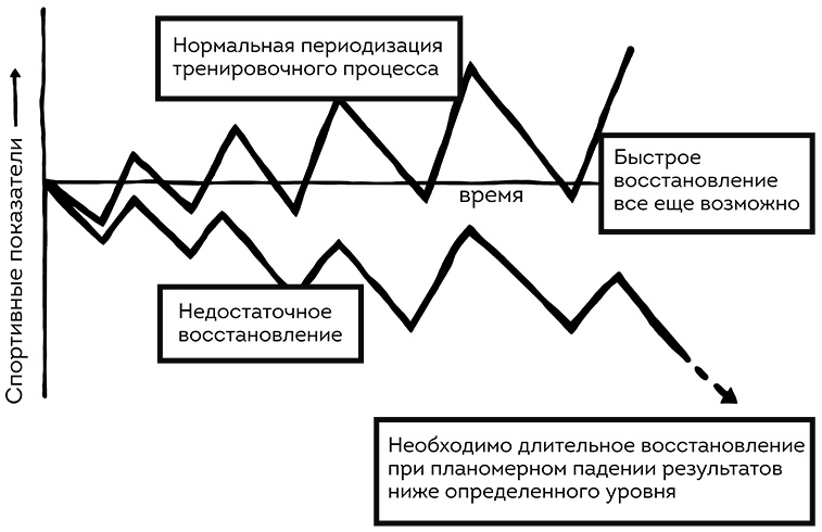 Книга ЗОЖника 