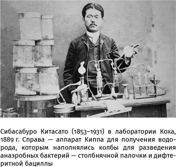 100 рассказов из истории медицины 