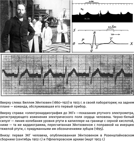 100 рассказов из истории медицины 