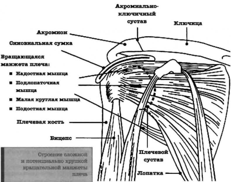 Тренировочная зона. Секретная система физических тренировок