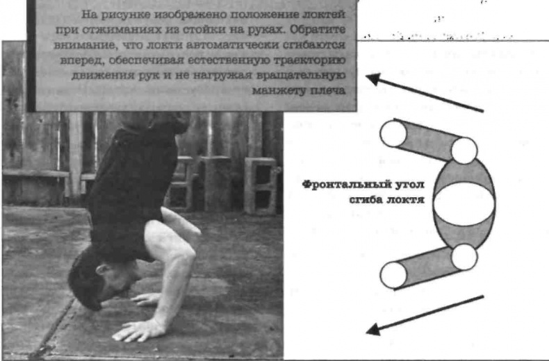 Тренировочная зона. Секретная система физических тренировок