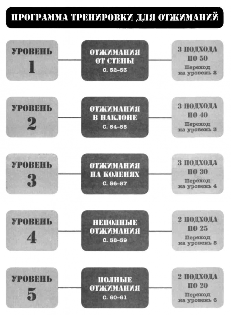 Тренировочная зона. Секретная система физических тренировок