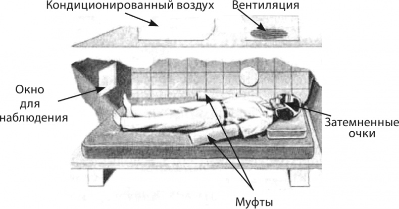 Мышление. Системное исследование