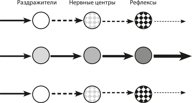 Мышление. Системное исследование