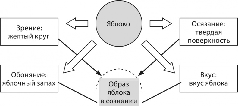 Мышление. Системное исследование