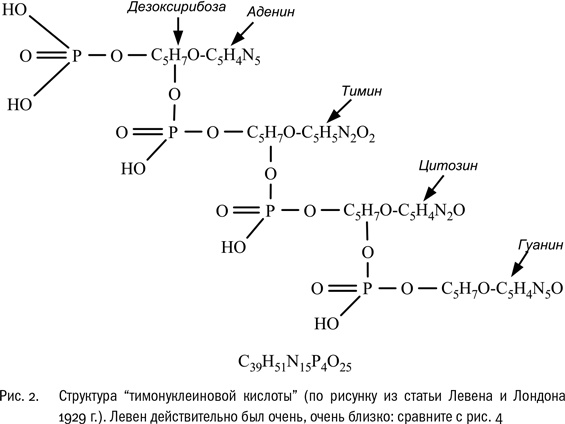 ДНК и её человек. Краткая история ДНК-идентификации