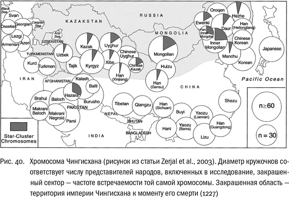 ДНК и её человек. Краткая история ДНК-идентификации