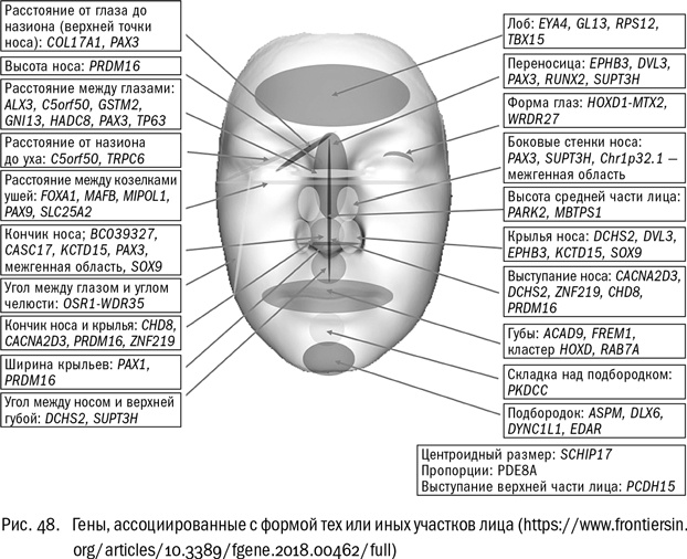 ДНК и её человек. Краткая история ДНК-идентификации