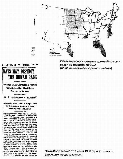 Хитрее человека. Исчерпывающая история крысы и человеческая  цивилизация
