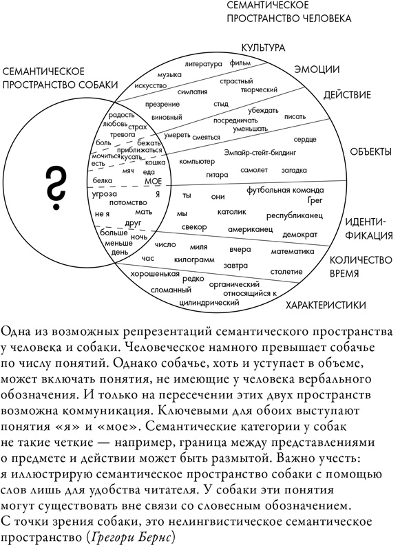 Что значит быть собакой. И другие открытия в области нейробиологии животных