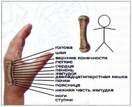 Секреты китайских целителей: диагностика и лечение болезней по руке