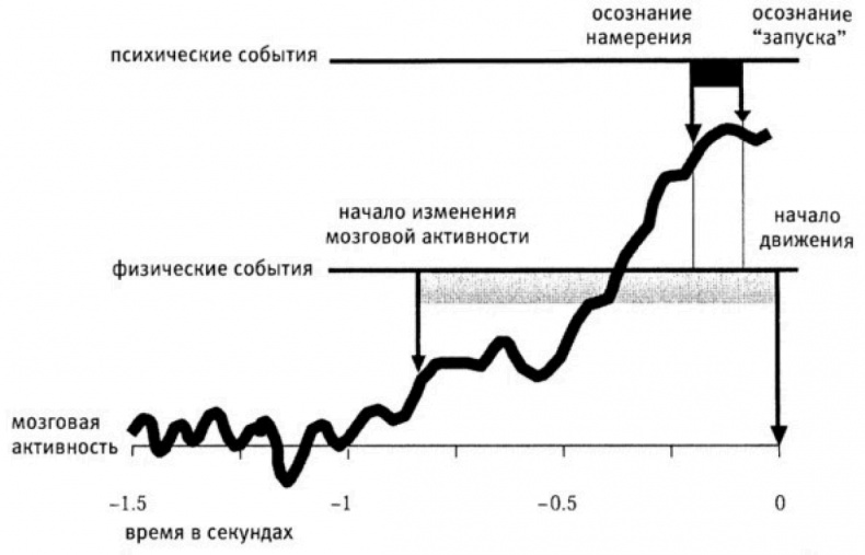 Мозговодство 