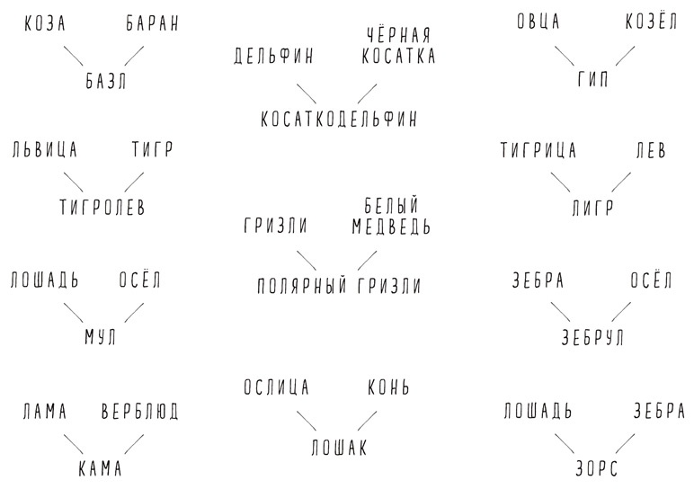 Может ли жираф облизать свои уши?