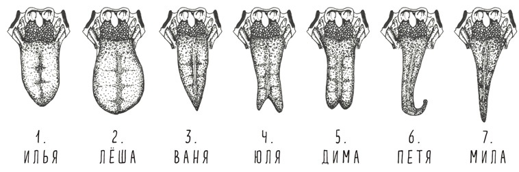 Может ли жираф облизать свои уши?