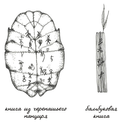 Может ли жираф облизать свои уши?