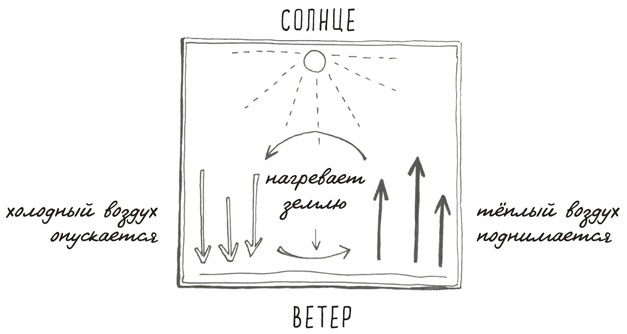 Может ли жираф облизать свои уши?