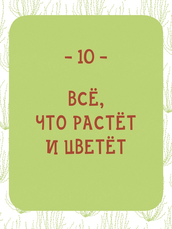 Может ли жираф облизать свои уши?