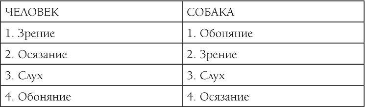 «Вожак стаи». Полное руководство по дрессировке и воспитанию собак