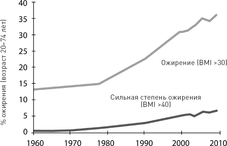 Голодный мозг. Как перехитрить инстинкты, которые заставляют нас переедать