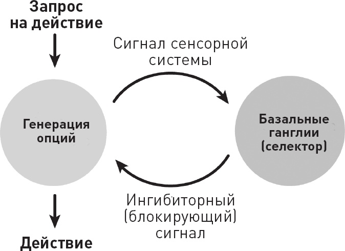 Голодный мозг. Как перехитрить инстинкты, которые заставляют нас переедать